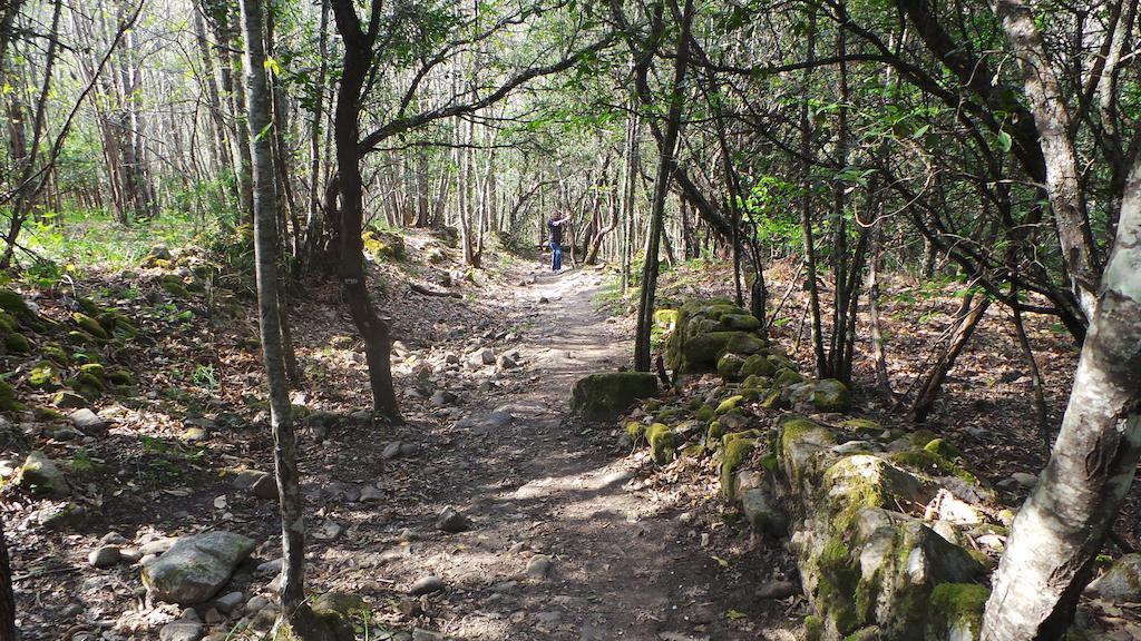 Apartamentos El Capricho Águeda del Caudillo Buitenkant foto